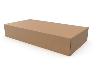 Cardboard box 02 3D Model