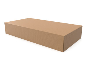 Cardboard box 02 3D Модель