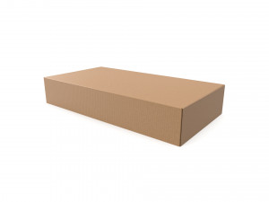 Cardboard box 02 3D Модель