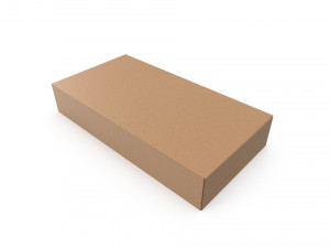 Cardboard box 02 3D Модель