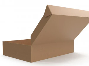 Karton kutu 03 3D Model