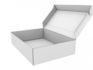 Karton kutu 03 3D Model