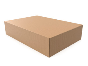 Cardboard box 04 3Dモデル