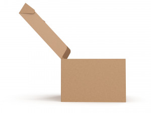 Cardboard box 05 3D-Modell