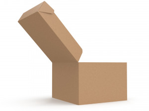 Cardboard box 05 3D-Modell