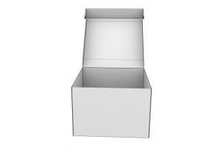 Cardboard box 05 3D-Modell