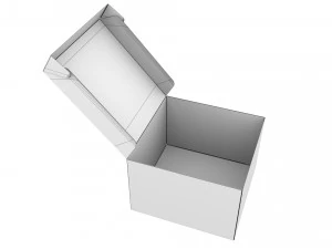 Cardboard box 05 3D Model