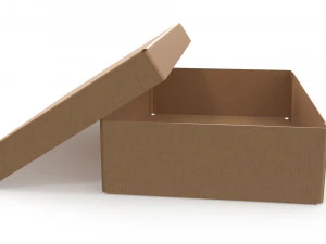 Cardboard box 06 3D Model