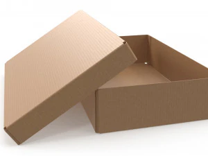 Cardboard box 06 3D Model