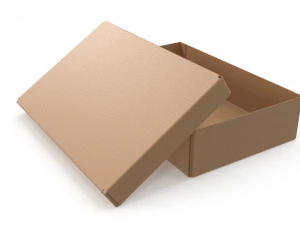 Cardboard box 06 3D Model