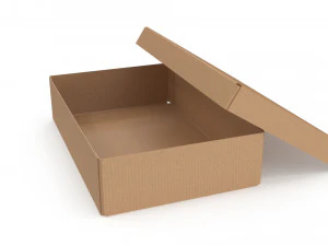 Cardboard box 06 3D Model