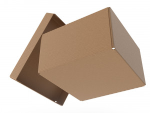 Cardboard box 07 3D 모델