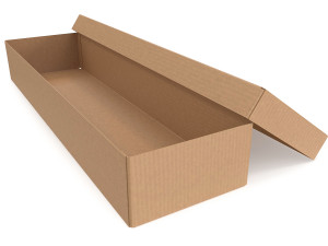 Cardboard box 08 3D Model