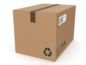 Cardboard box 10 3D Model