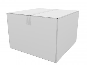 Cardboard box 11 Modello 3D