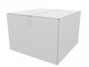 Cardboard box 11 3D Model