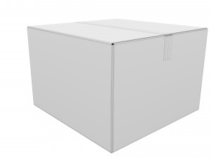 Cardboard box 11 Modello 3D
