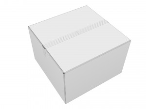 Cardboard box 11 Modello 3D