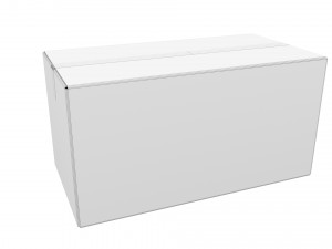 Cardboard box 12 Modello 3D