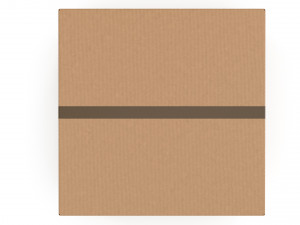 Cardboard box 13 Model 3D