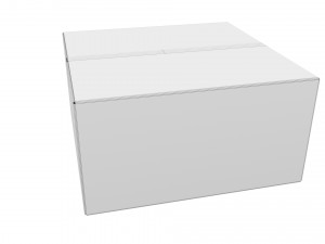 Cardboard box 13 Model 3D