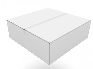 Cardboard box 15 3D Model