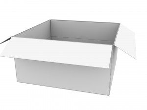 Cardboard box 19 Modello 3D