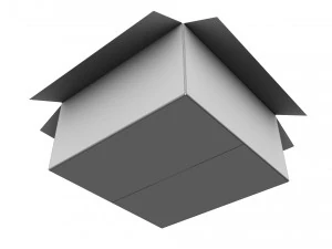 Cardboard box 19 3D Model