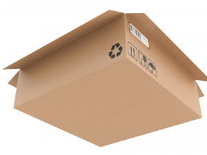 Cardboard box 21 3D 모델