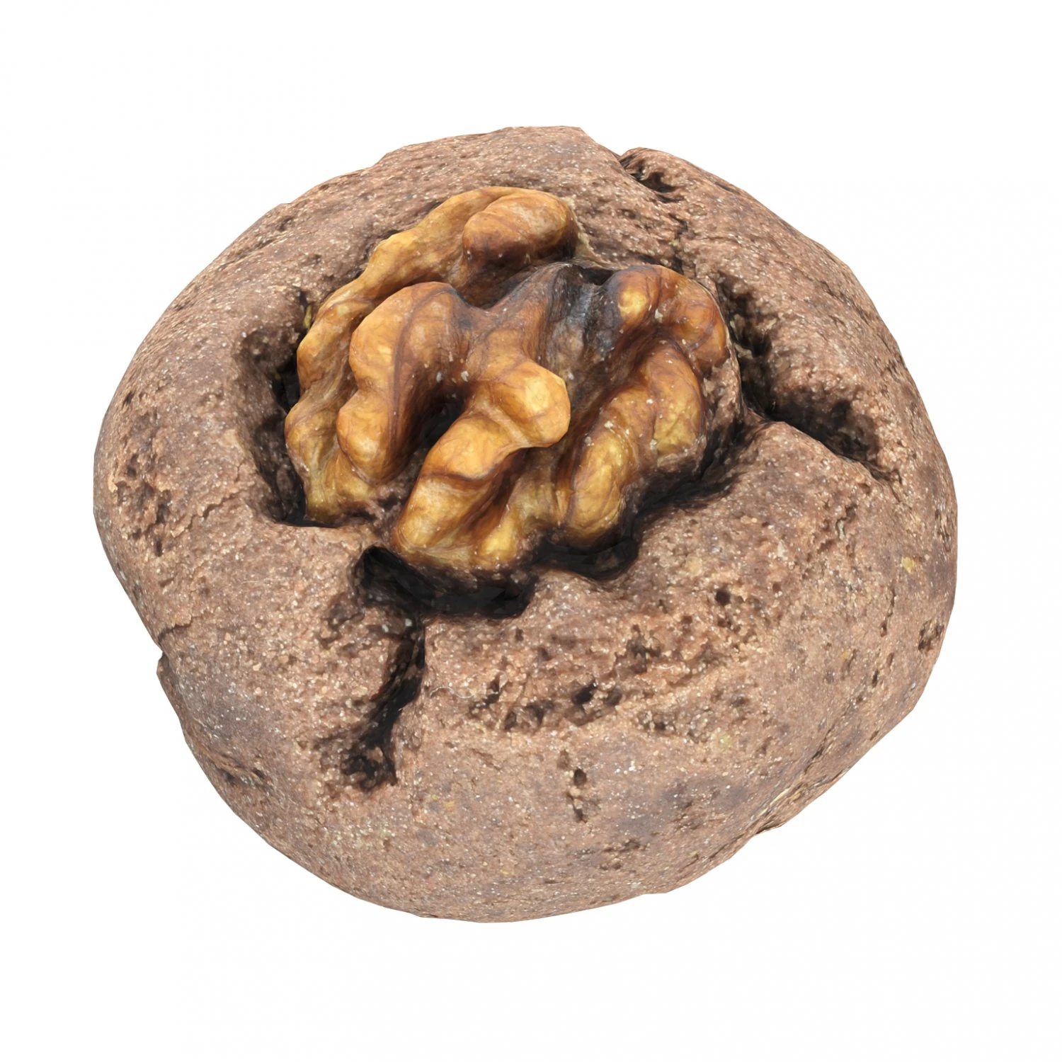 Cookie 02 3D Model .c4d .max .obj .3ds .fbx .stl .blend 