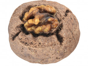 Cookie 02 Modelo 3D