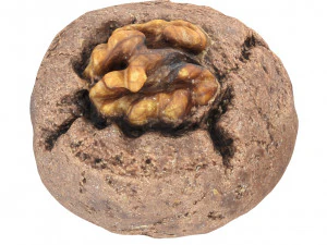 Cookie 02 3D Model