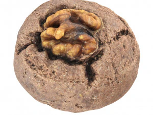 Cookie 02 3D Model