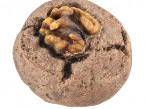 Cookie 02 3D Model