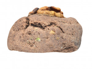 Cookie 02 Modelo 3D