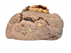 Cookie 02 3D Model