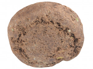 Cookie 02 Modelo 3D