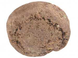 Cookie 02 3D Model
