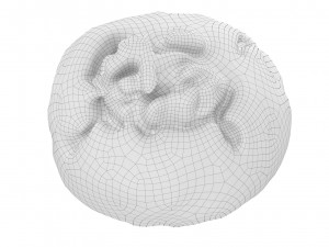 Cookie 02 Modelo 3D