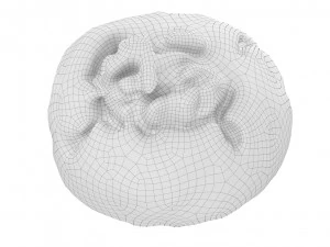 Cookie 02 3D Model