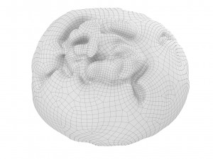 Cookie 02 Modelo 3D