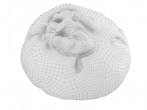 Cookie 02 Modelo 3D