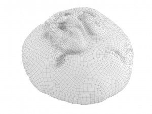 Cookie 02 Modelo 3D