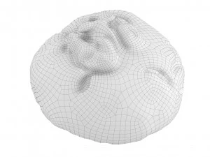 Cookie 02 3D Model
