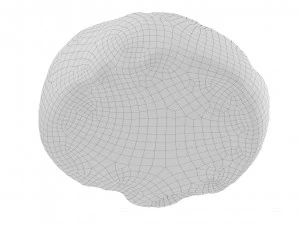 Cookie 02 3D Model