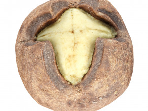 Cookie 03 3D Модель