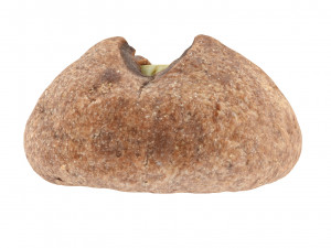 Cookie 03 3D Модель