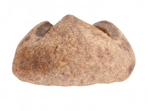 Cookie 03 3D Модель