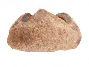 Cookie 03 3D Model