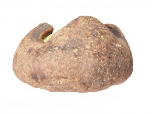 Cookie 03 3D Model